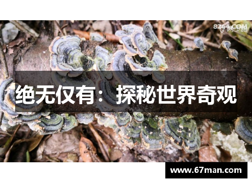 绝无仅有：探秘世界奇观
